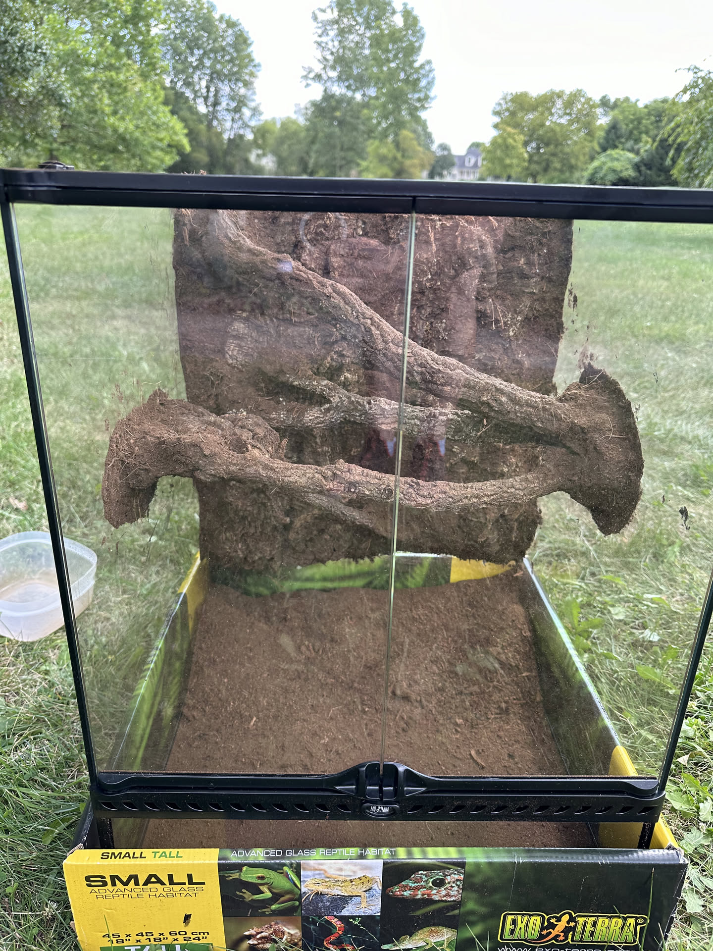 Cleaned upright tank with background