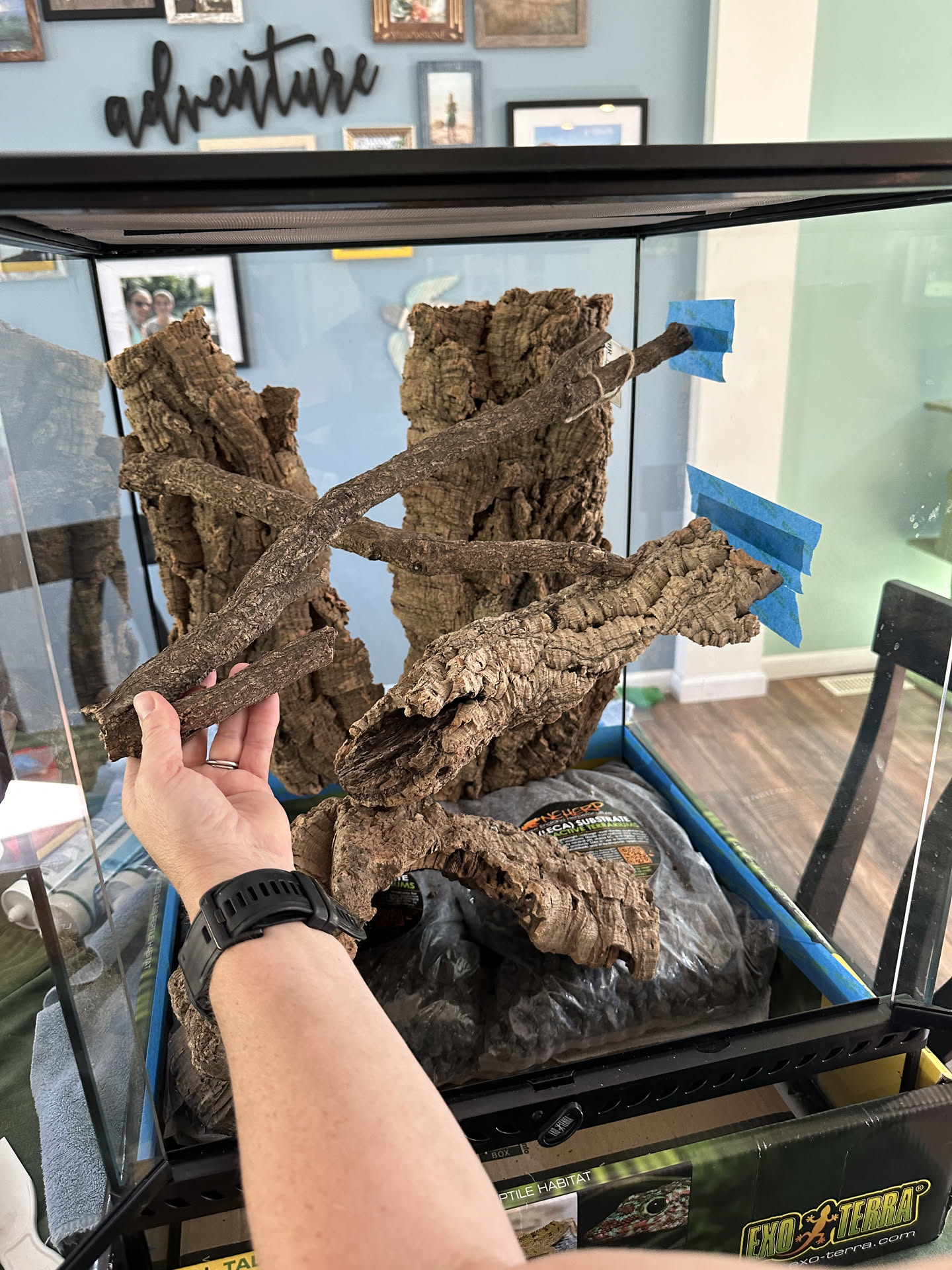 Arranging initial cork on silicone base